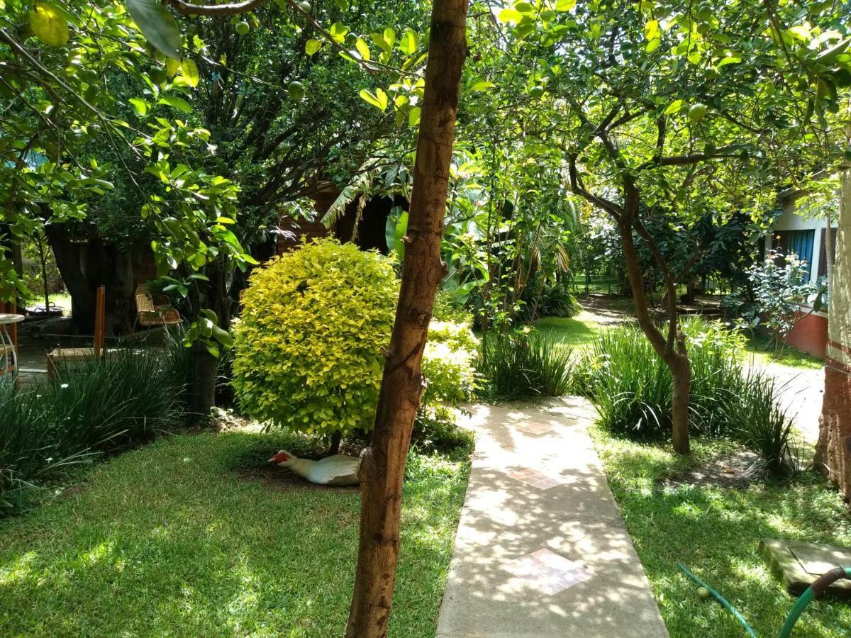 Hotel Casa Pomarrosa Malinalco Extérieur photo